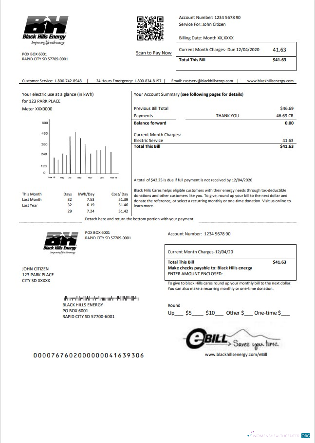 download USA South Dakota Black Hills Energy utility bill template in Word and PDF format PDF template